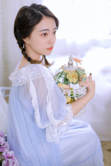 大理寺.卿作者:安妮薇